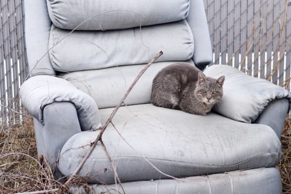 Recliner Disposal in Waterloo